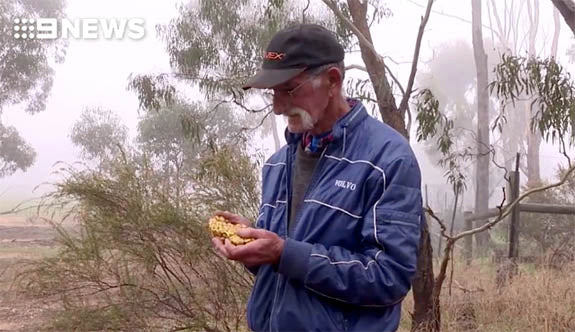 Aussie Pensioner Lands 151-ounce Gold Nugget, Fulfilling His 37-year Dream Of Finding 'The Big One'