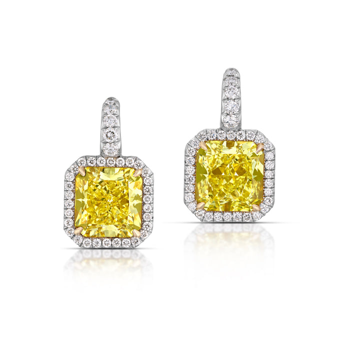 6.03 Carat Yellow Diamond Halo Earrings