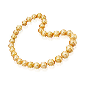Golden South Sea Pearl Strand Necklace